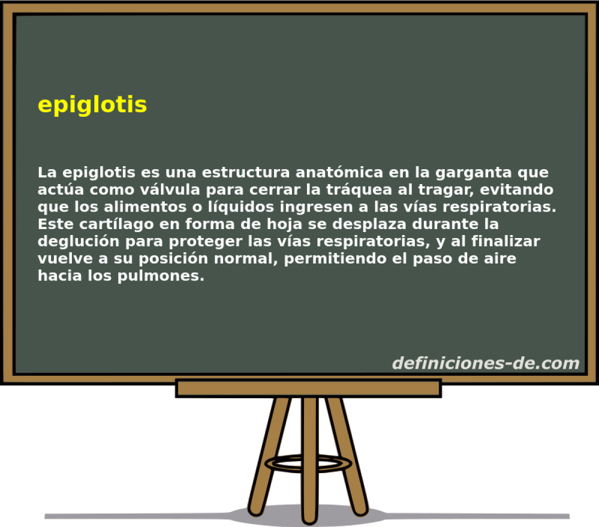 epiglotis 