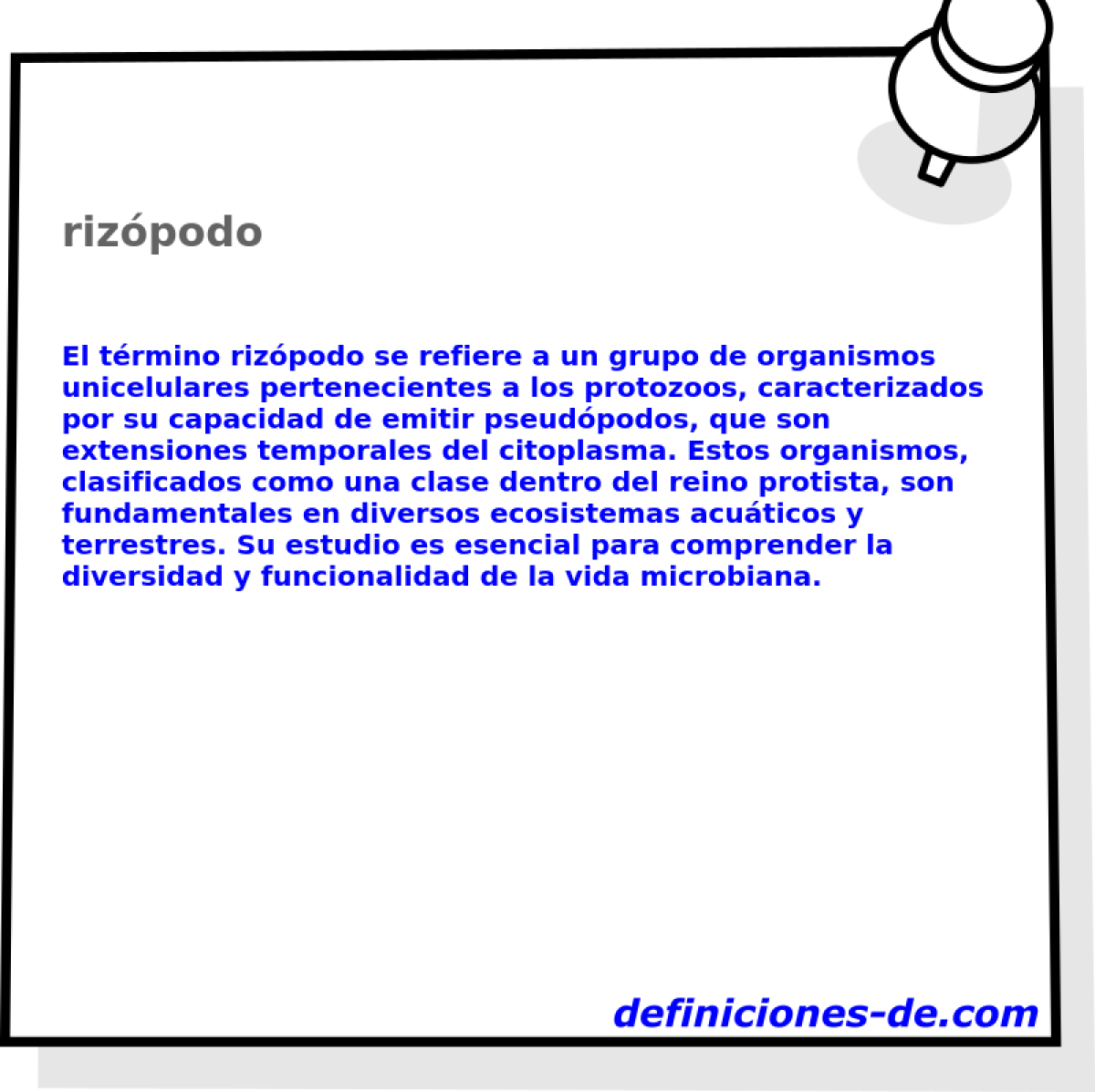 rizpodo 