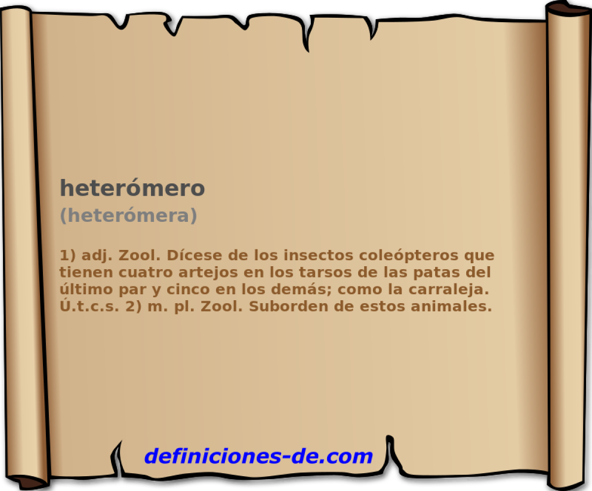 hetermero (hetermera)