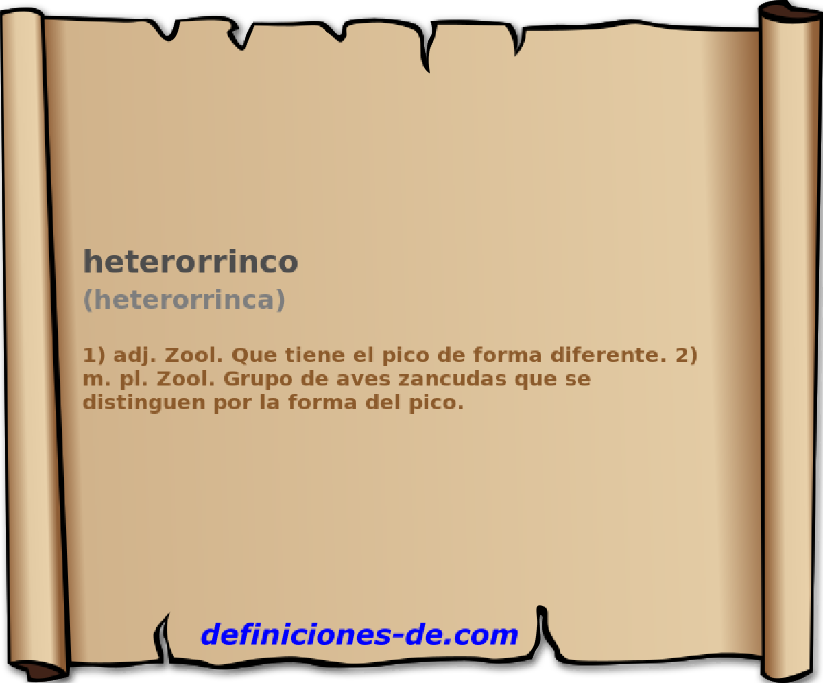heterorrinco (heterorrinca)