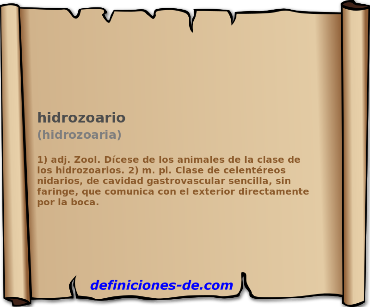 hidrozoario (hidrozoaria)