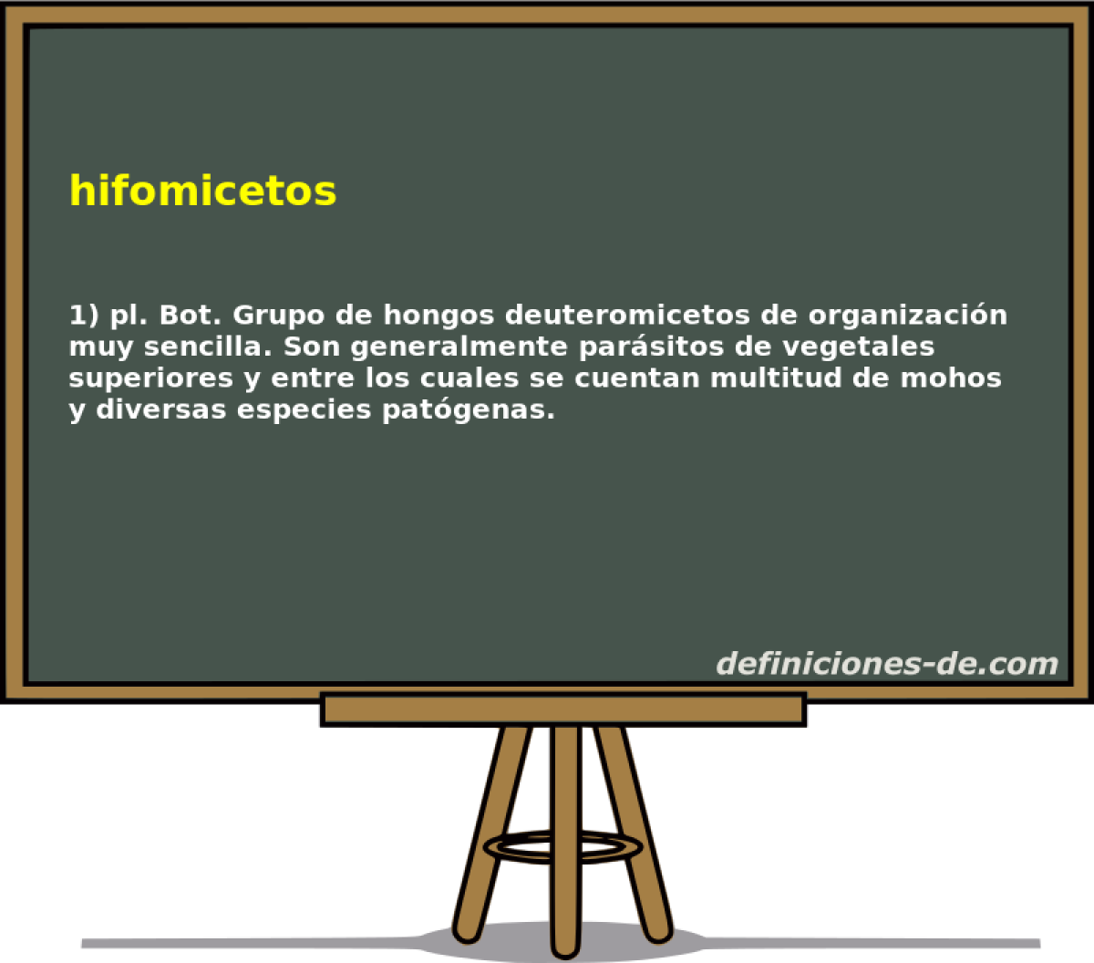 hifomicetos 