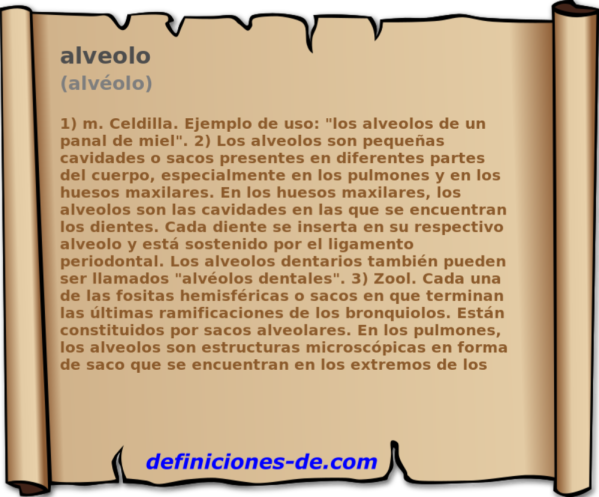 alveolo (alvolo)