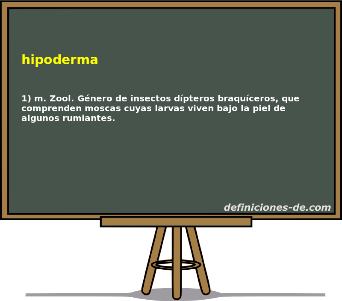 hipoderma 
