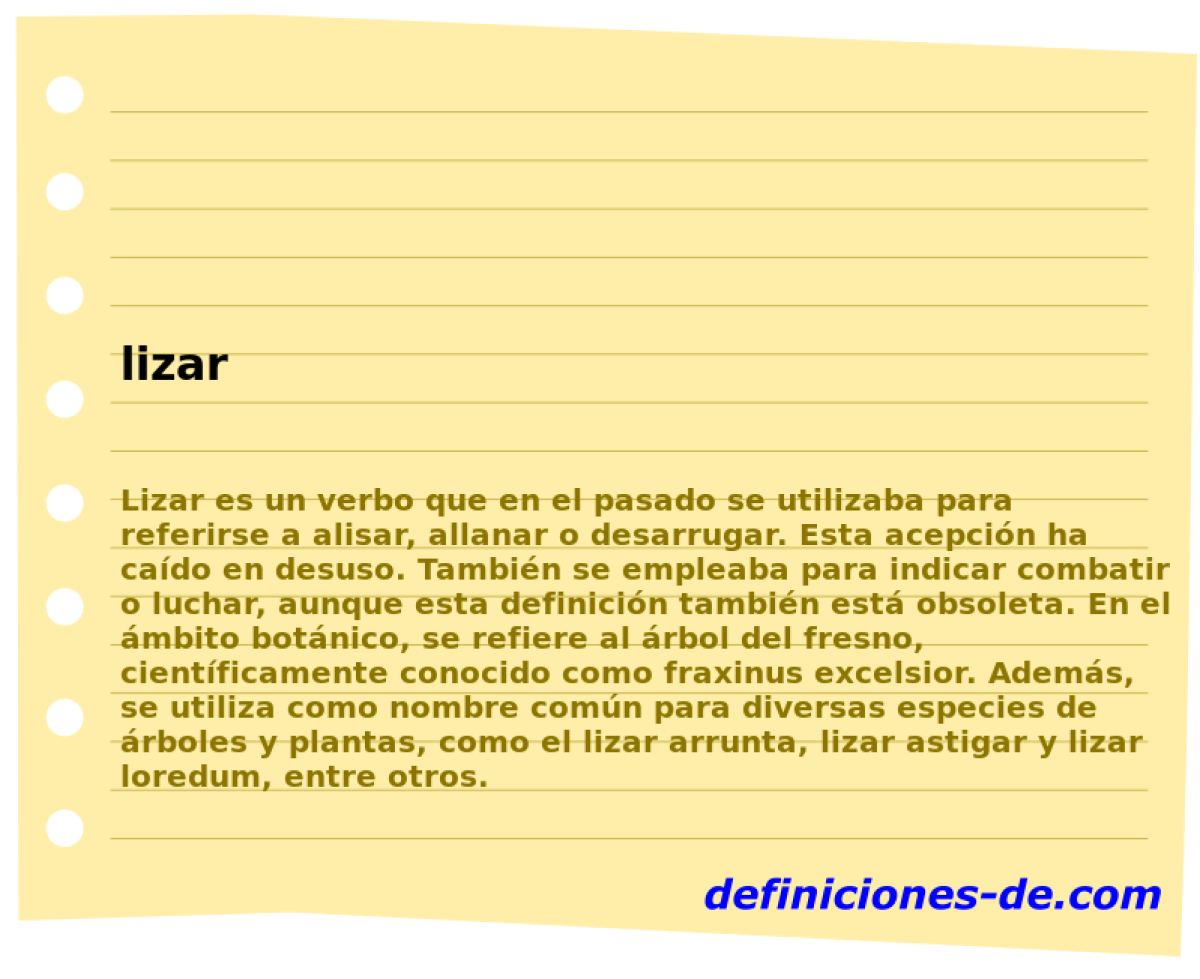 lizar 