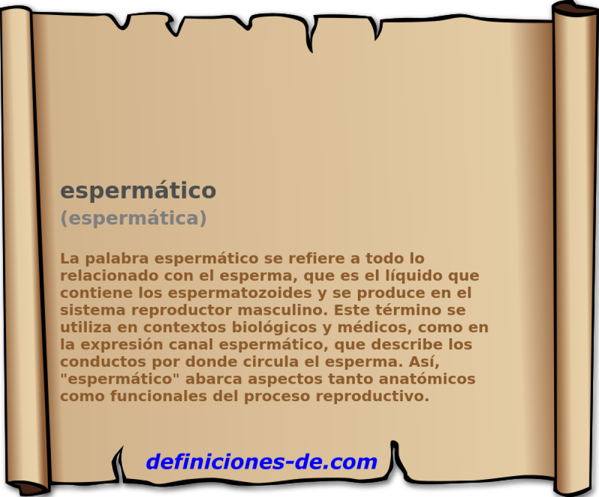 espermtico (espermtica)