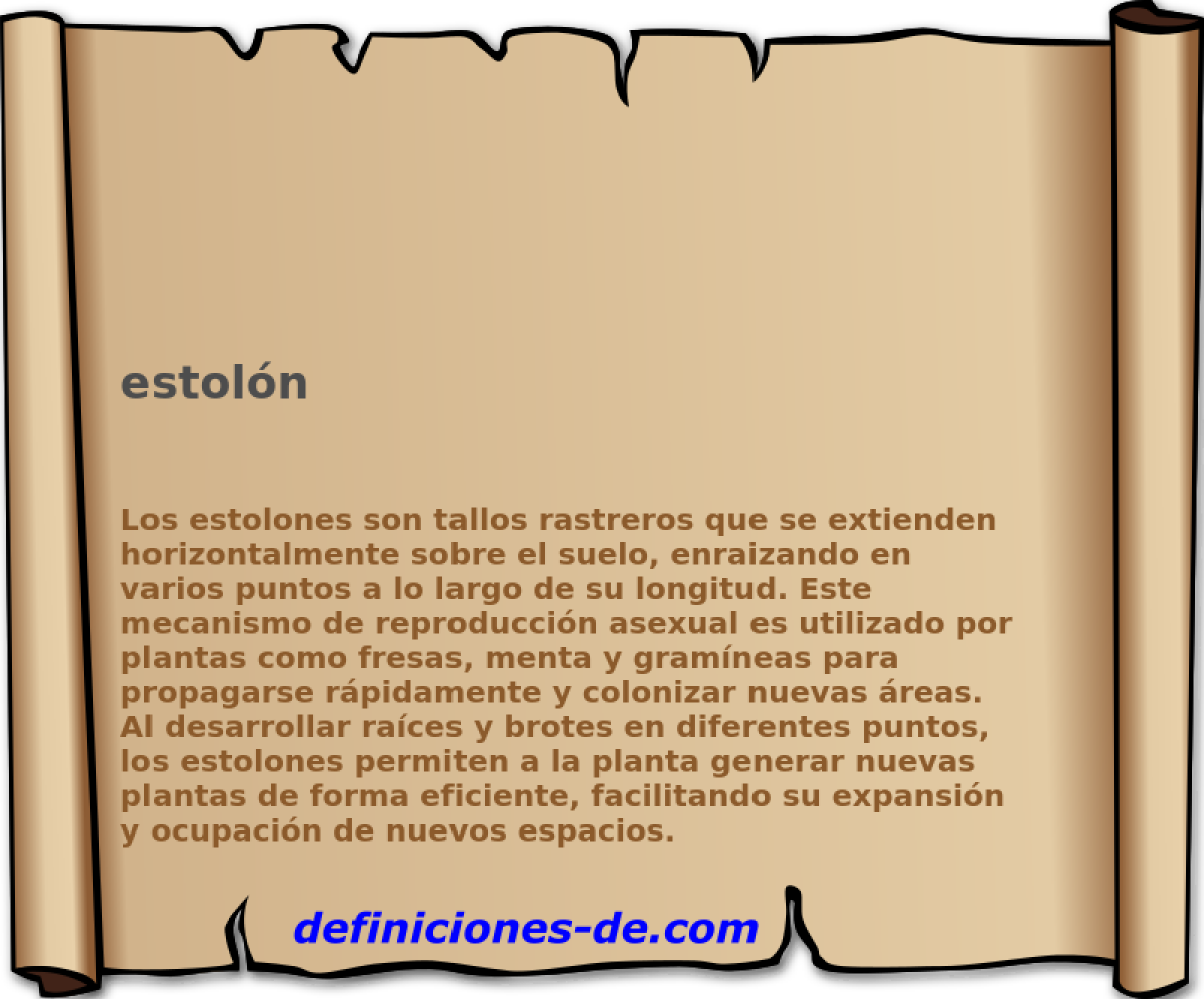 estoln 