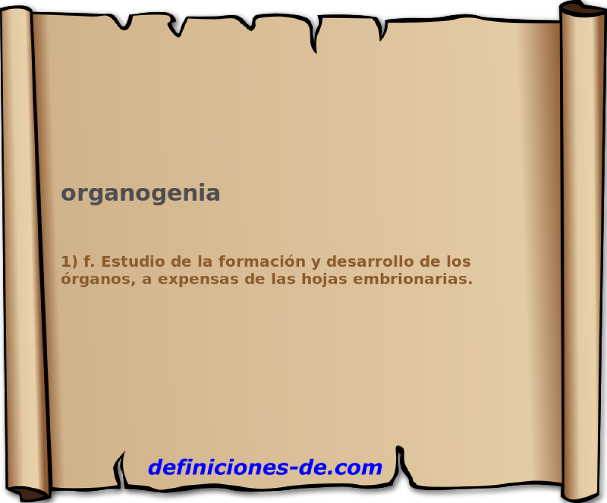 organogenia 