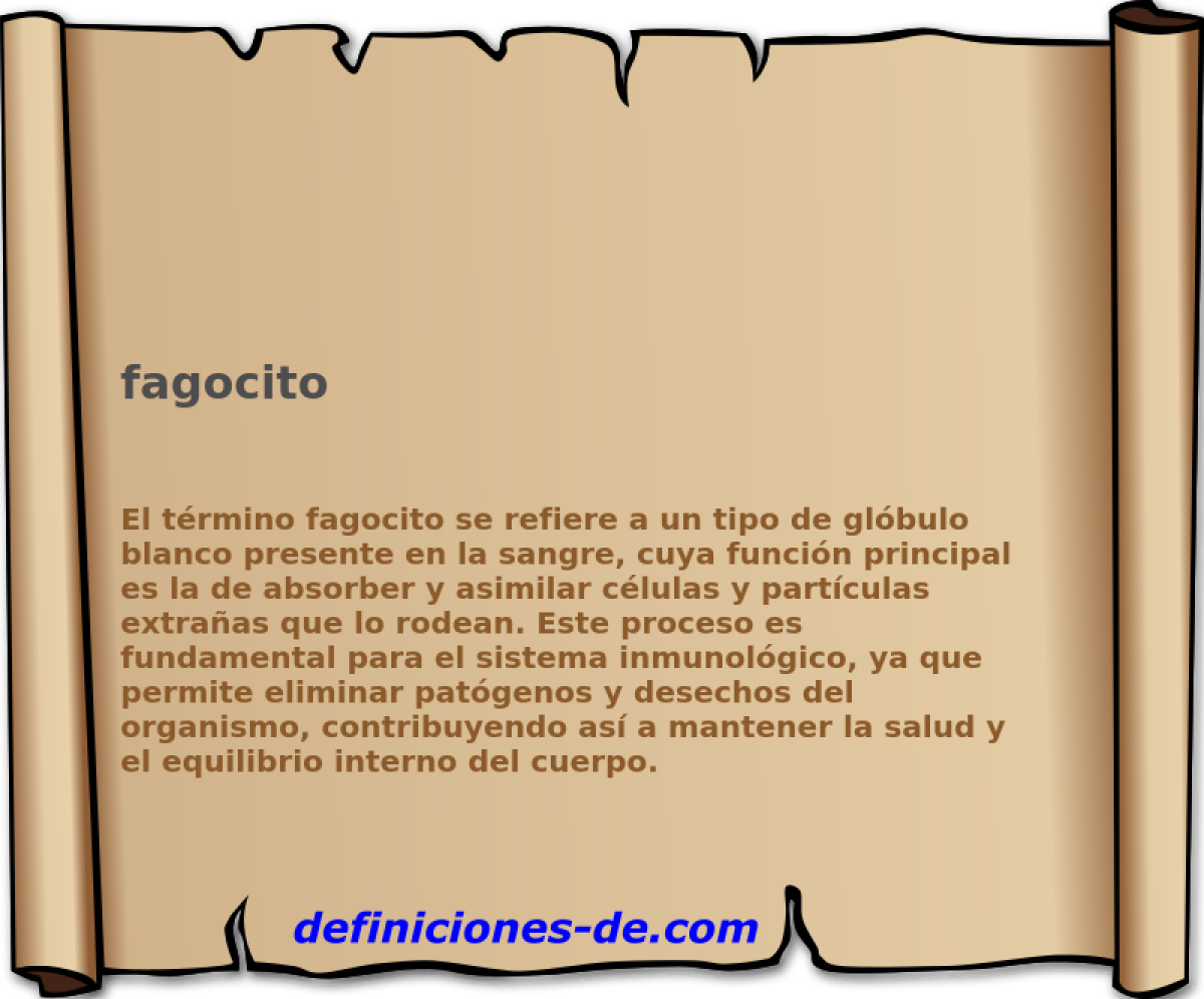 fagocito 