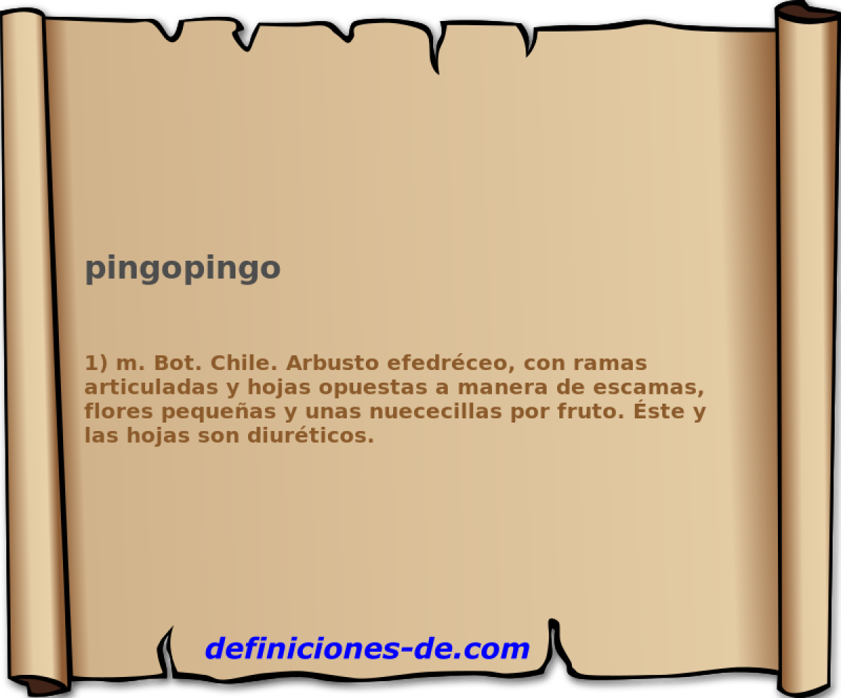 pingopingo 