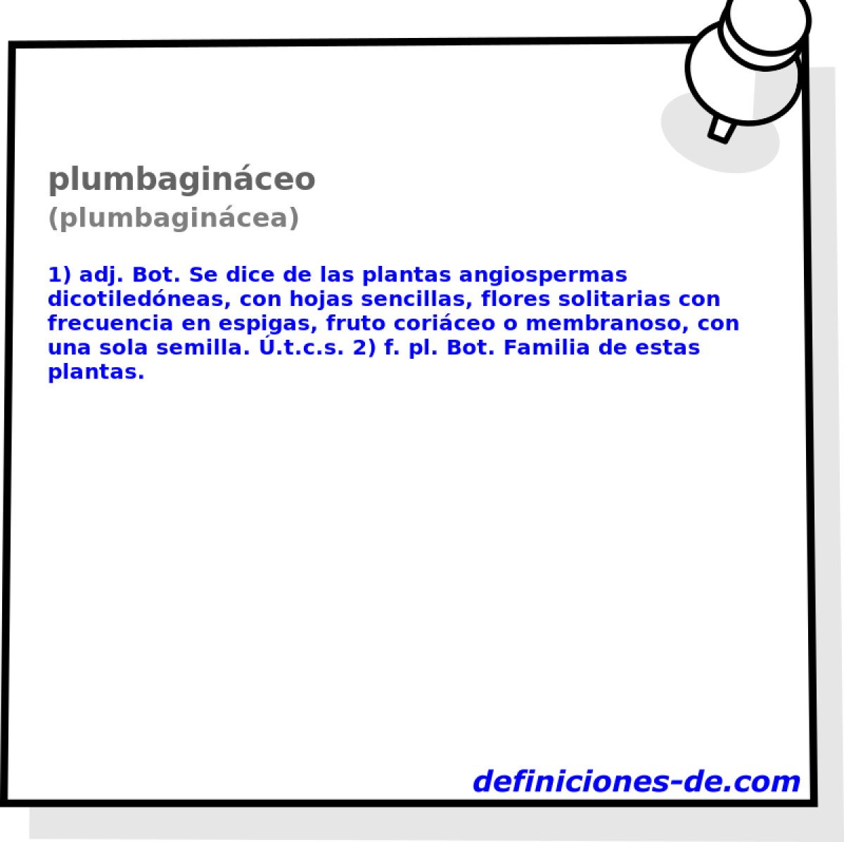 plumbaginceo (plumbagincea)