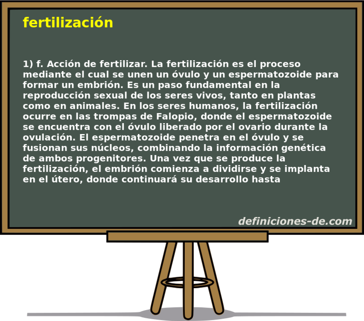 fertilizacin 