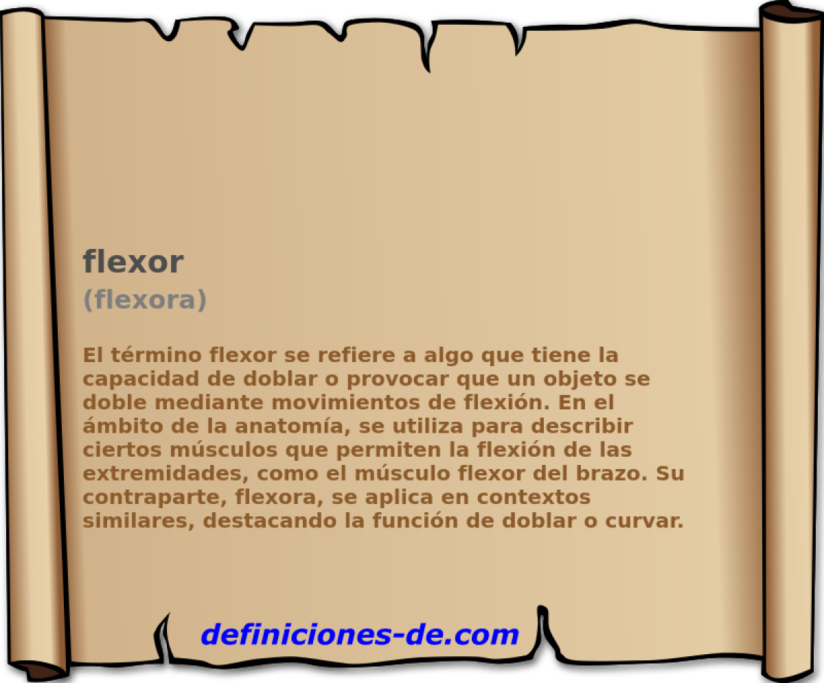 flexor (flexora)