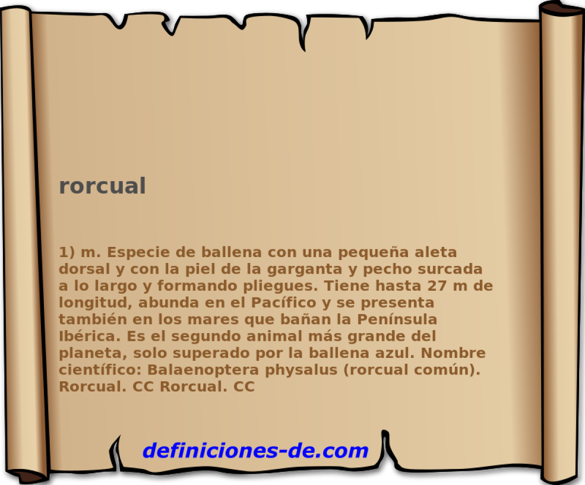 rorcual 