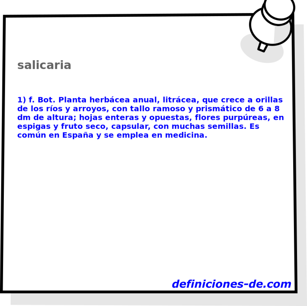 salicaria 