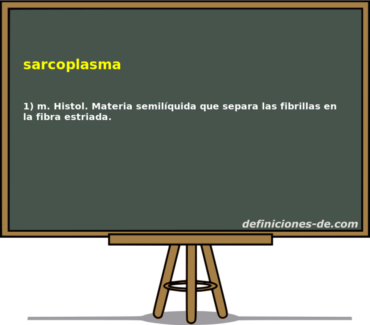 sarcoplasma 