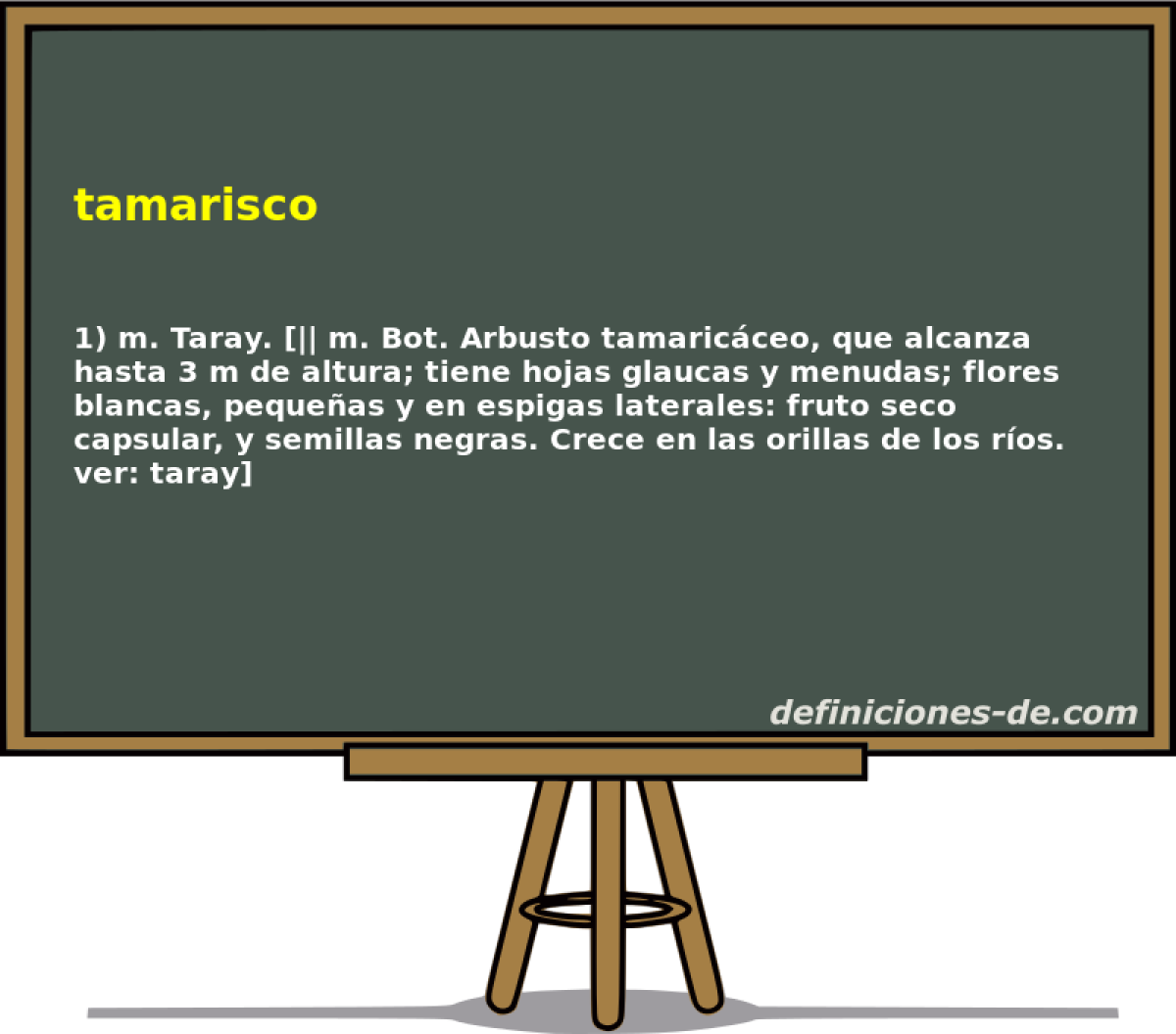 tamarisco 