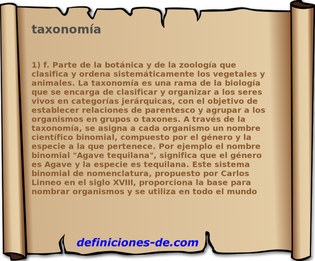 taxonoma 