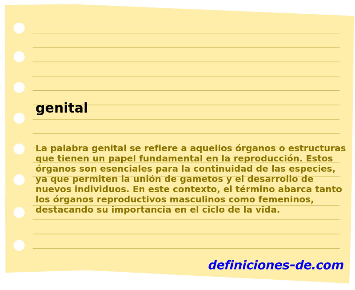 genital 