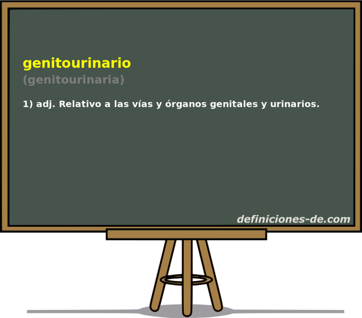 genitourinario (genitourinaria)
