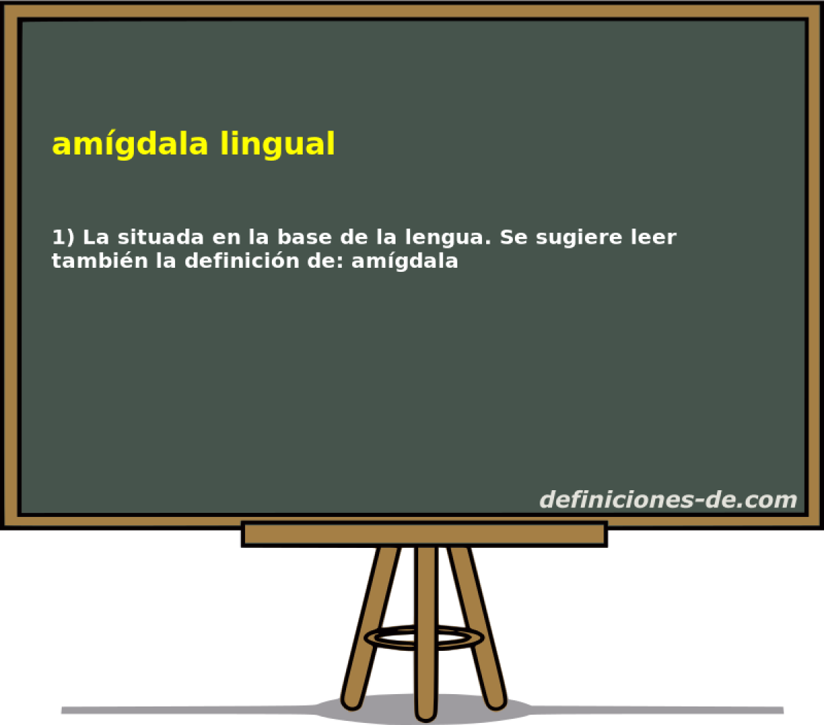 amgdala lingual 