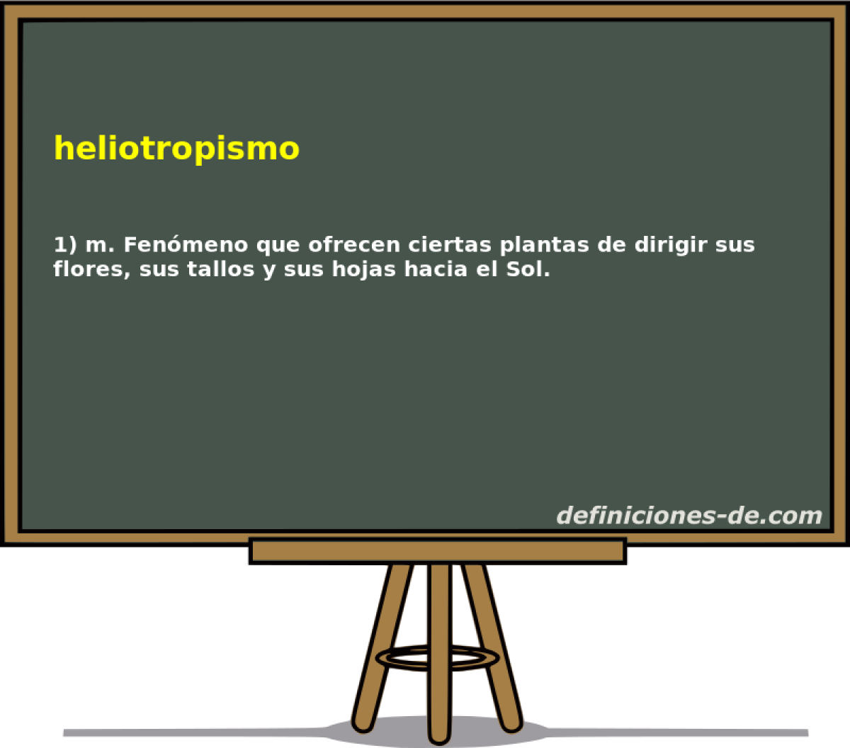 heliotropismo 