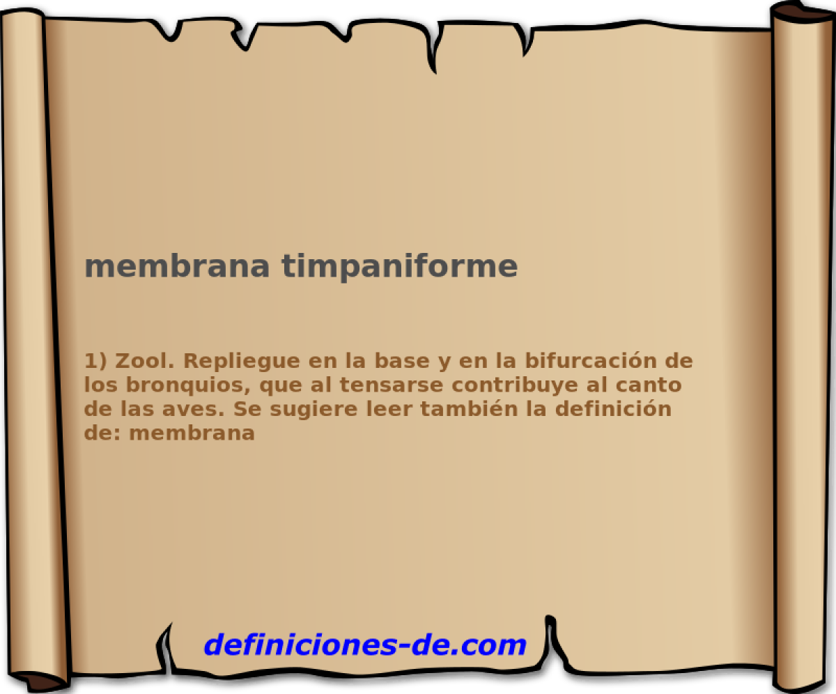 membrana timpaniforme 