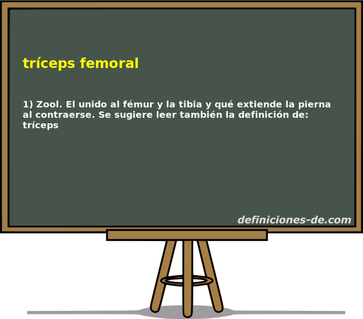 trceps femoral 