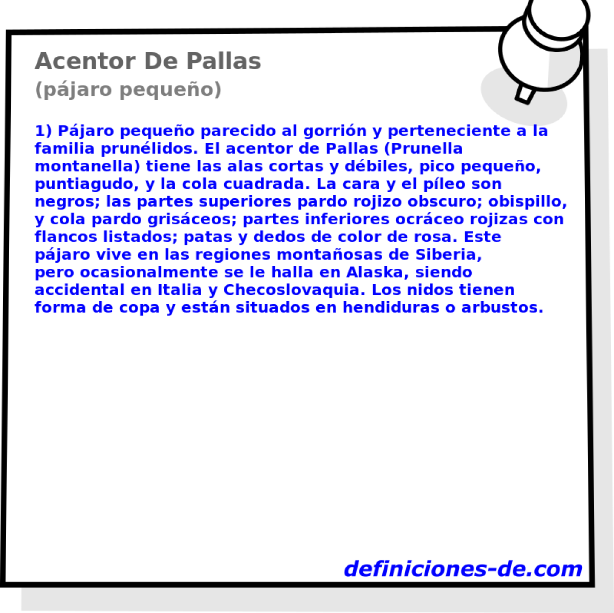 Acentor De Pallas (pjaro pequeo)