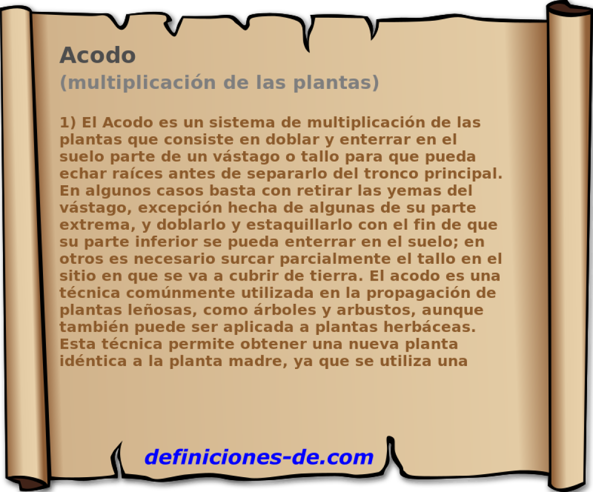 Acodo (multiplicacin de las plantas)
