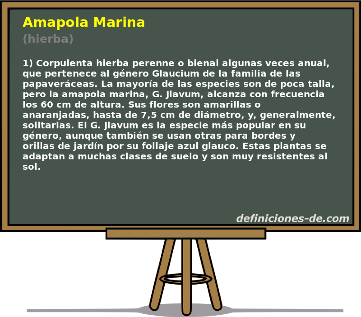 Amapola Marina (hierba)