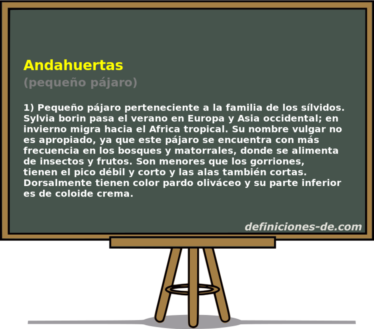 Andahuertas (pequeo pjaro)