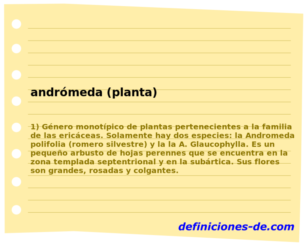andrmeda (planta) 
