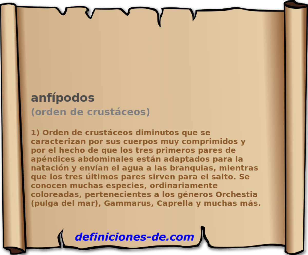 anfpodos (orden de crustceos)