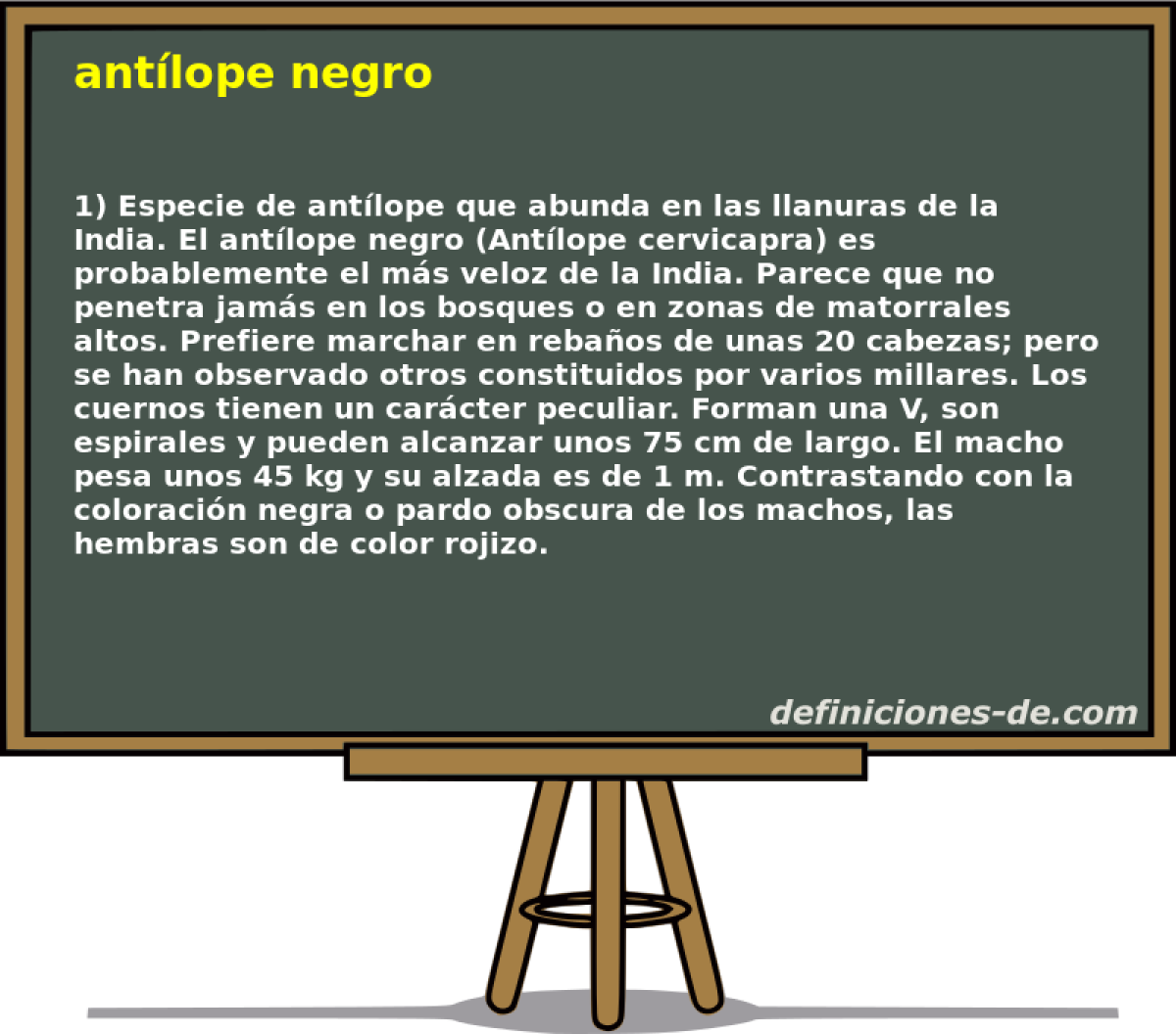 antlope negro 