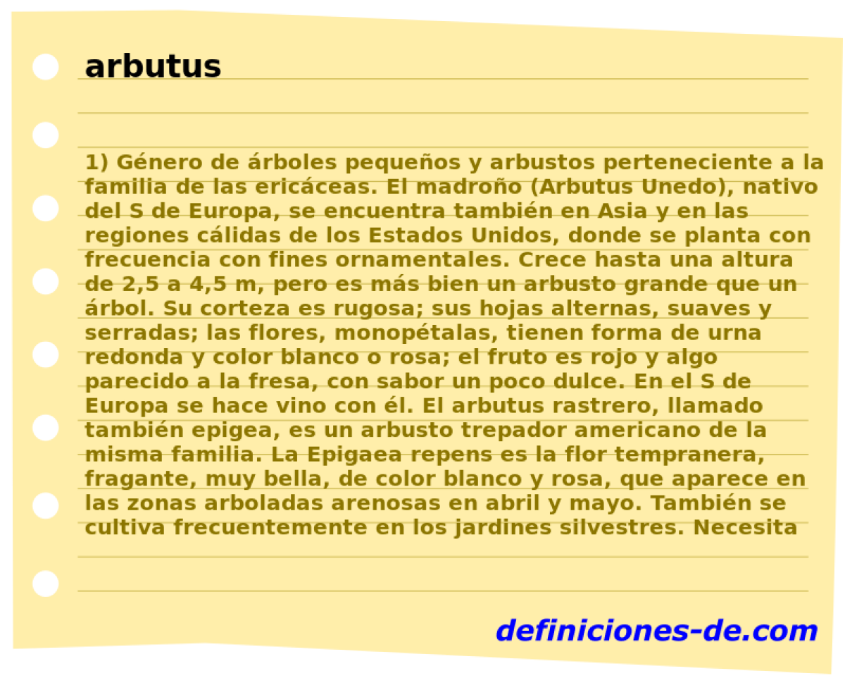 arbutus 