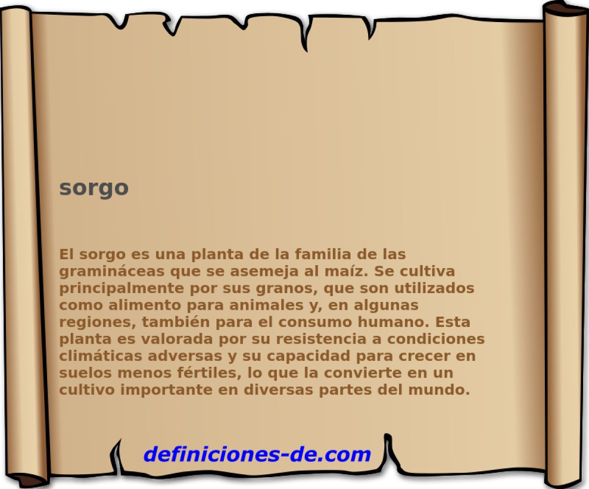 sorgo 