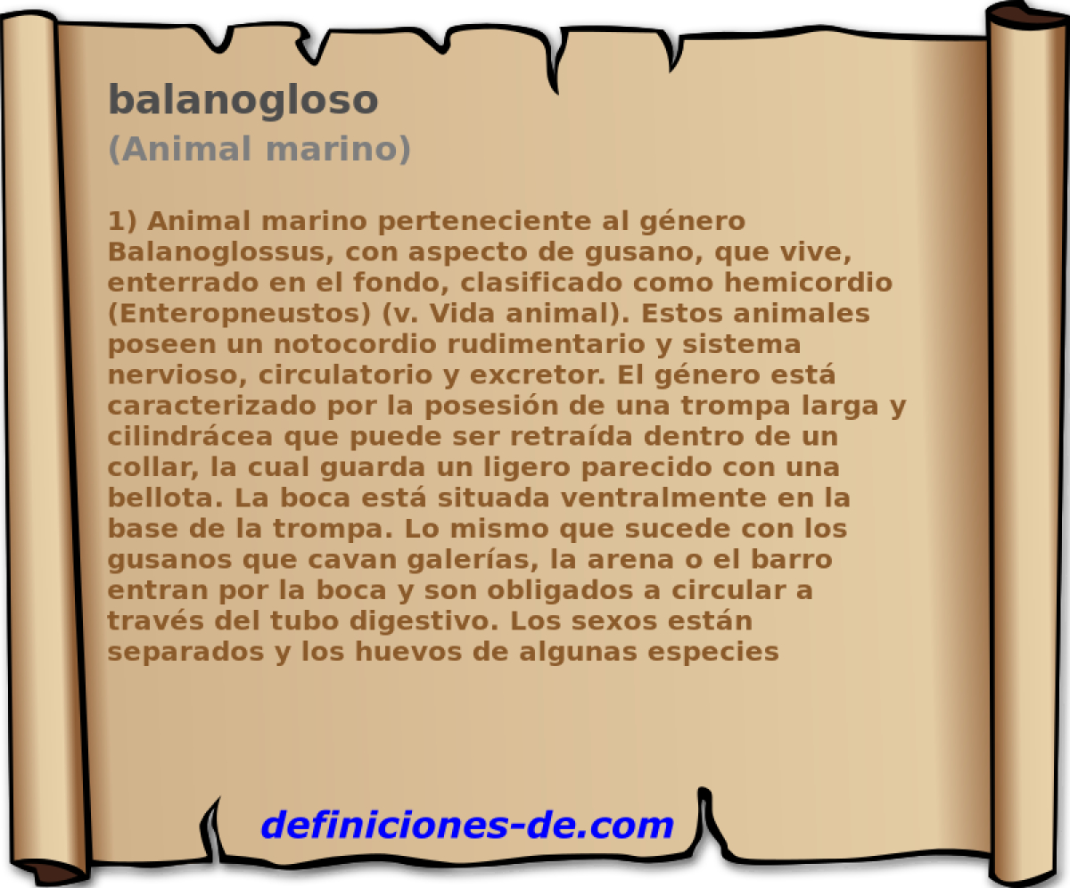 balanogloso (Animal marino)