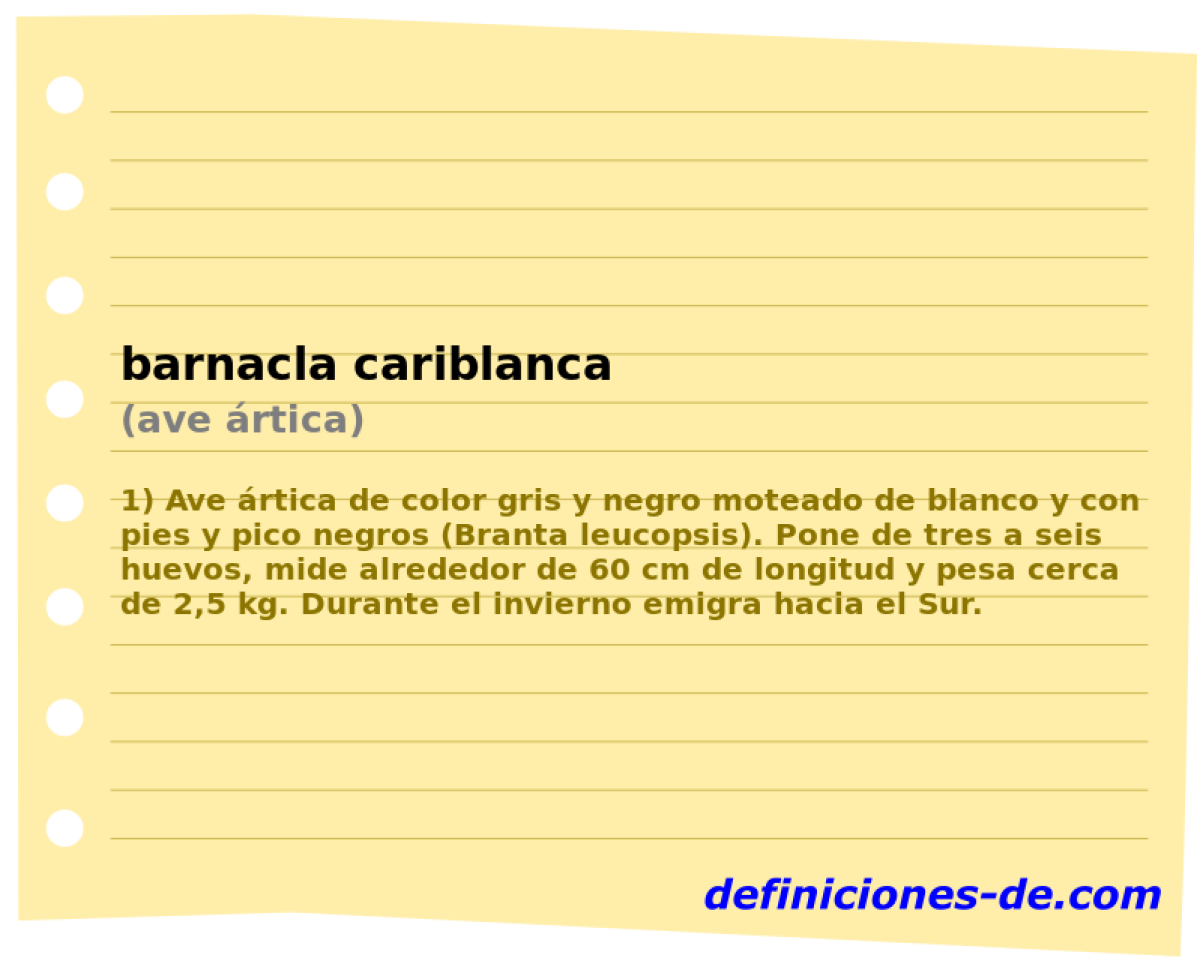 barnacla cariblanca (ave rtica)