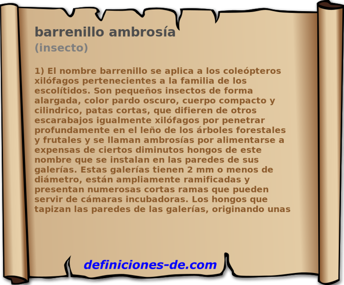 barrenillo ambrosa (insecto)
