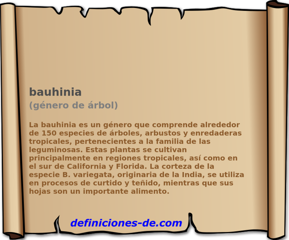 bauhinia (gnero de rbol)