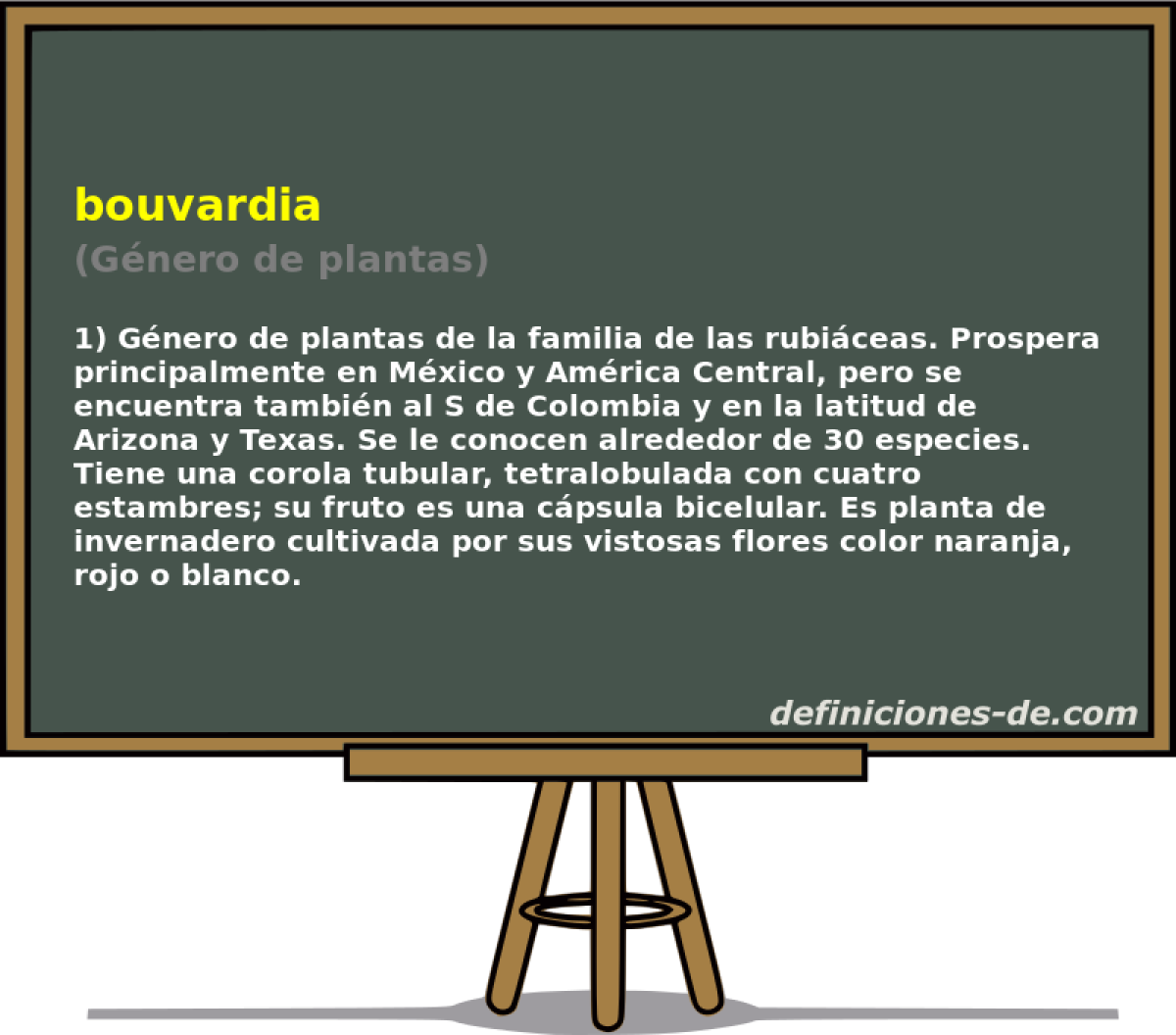 bouvardia (Gnero de plantas)