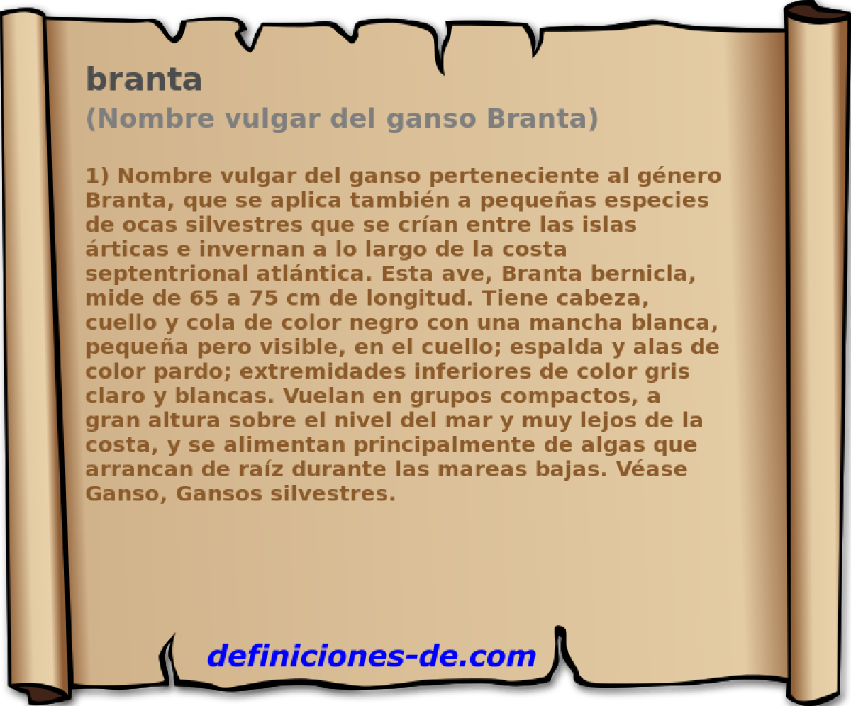 branta (Nombre vulgar del ganso Branta)