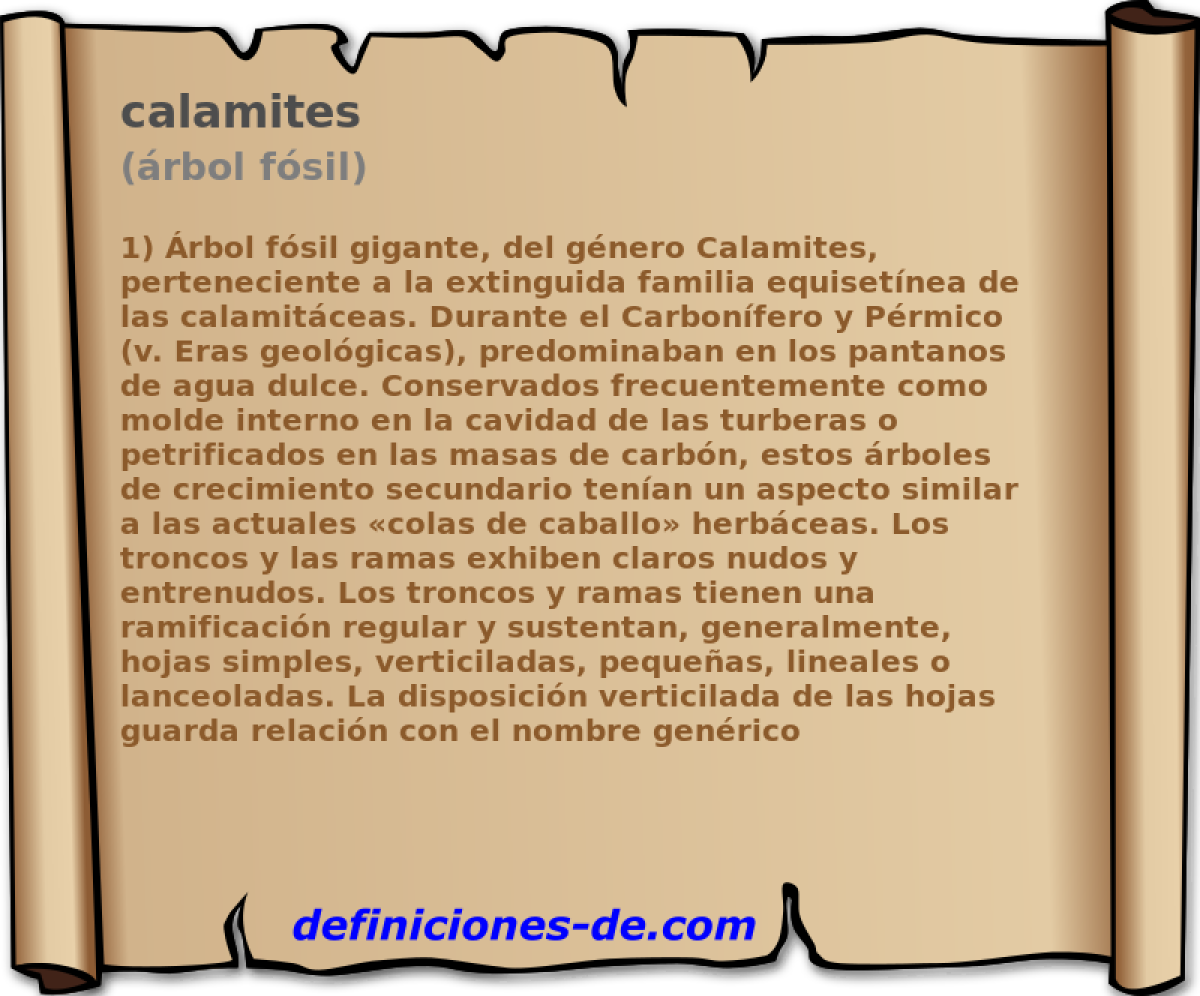 calamites (rbol fsil)