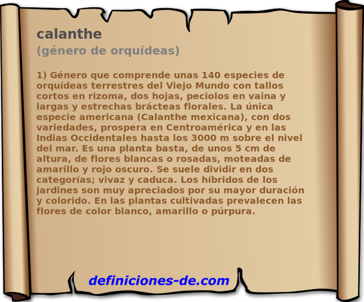 calanthe (gnero de orqudeas)