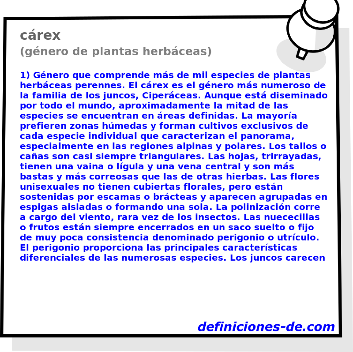 Cárex (género de plantas herbáceas) Significado de cárex
