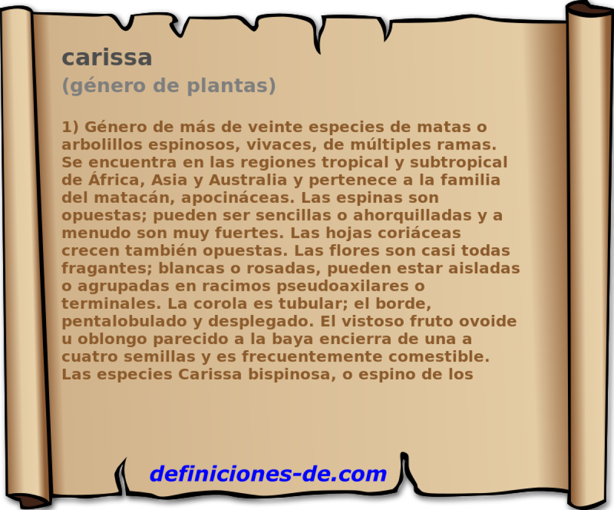 carissa (gnero de plantas)