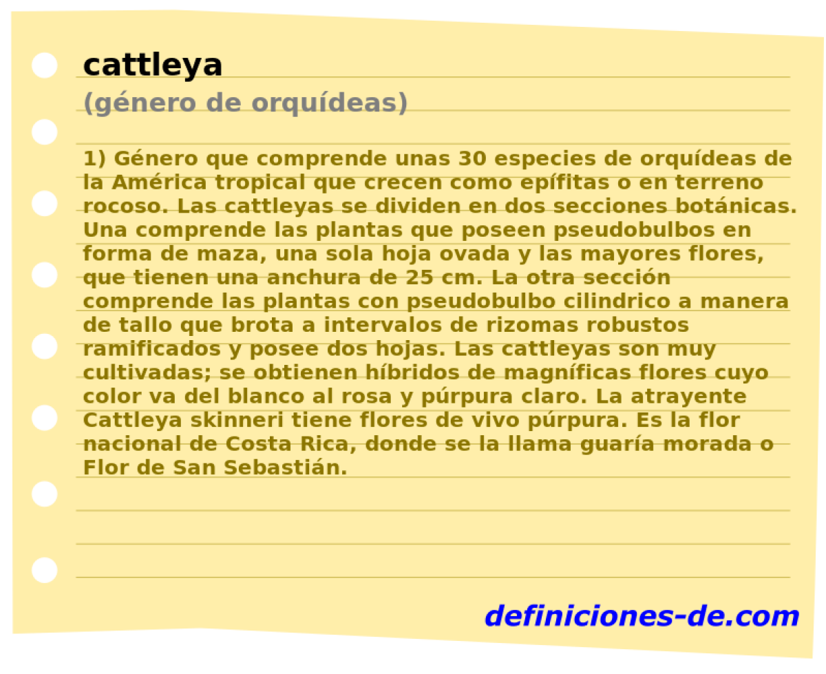cattleya (gnero de orqudeas)