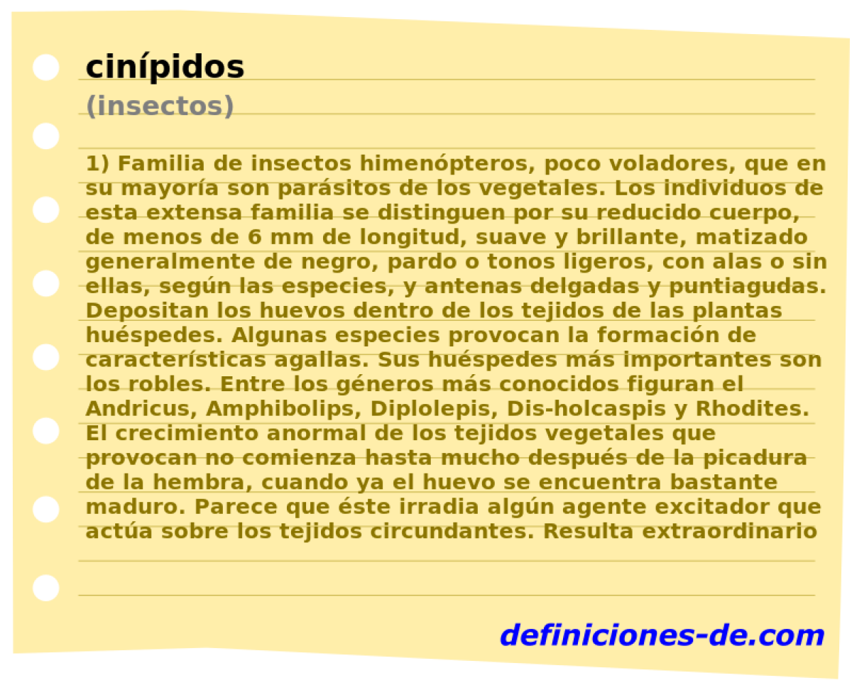 cinpidos (insectos)