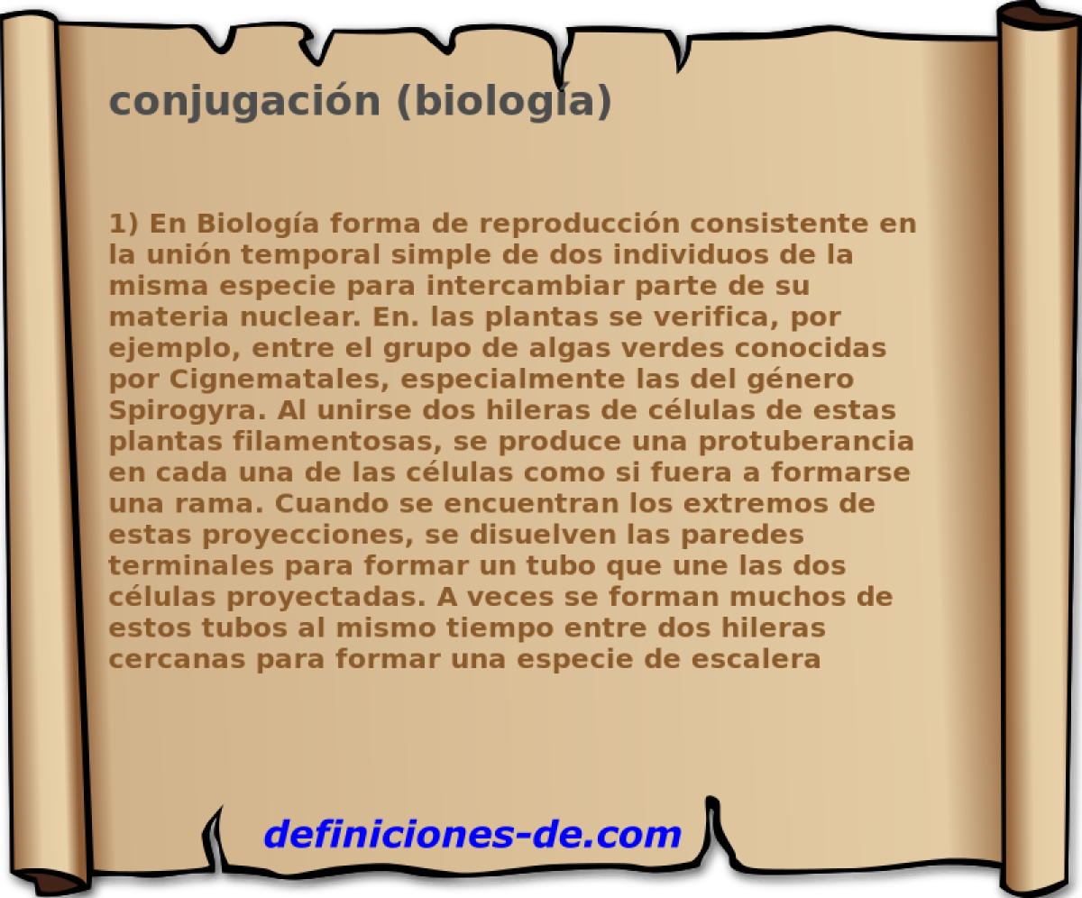 conjugacin (biologa) 